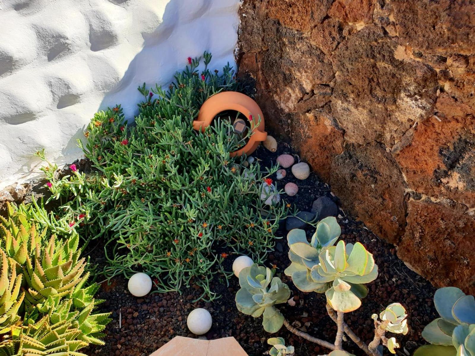 Casa Lirio Διαμέρισμα Κόστα Κάλμα Εξωτερικό φωτογραφία
