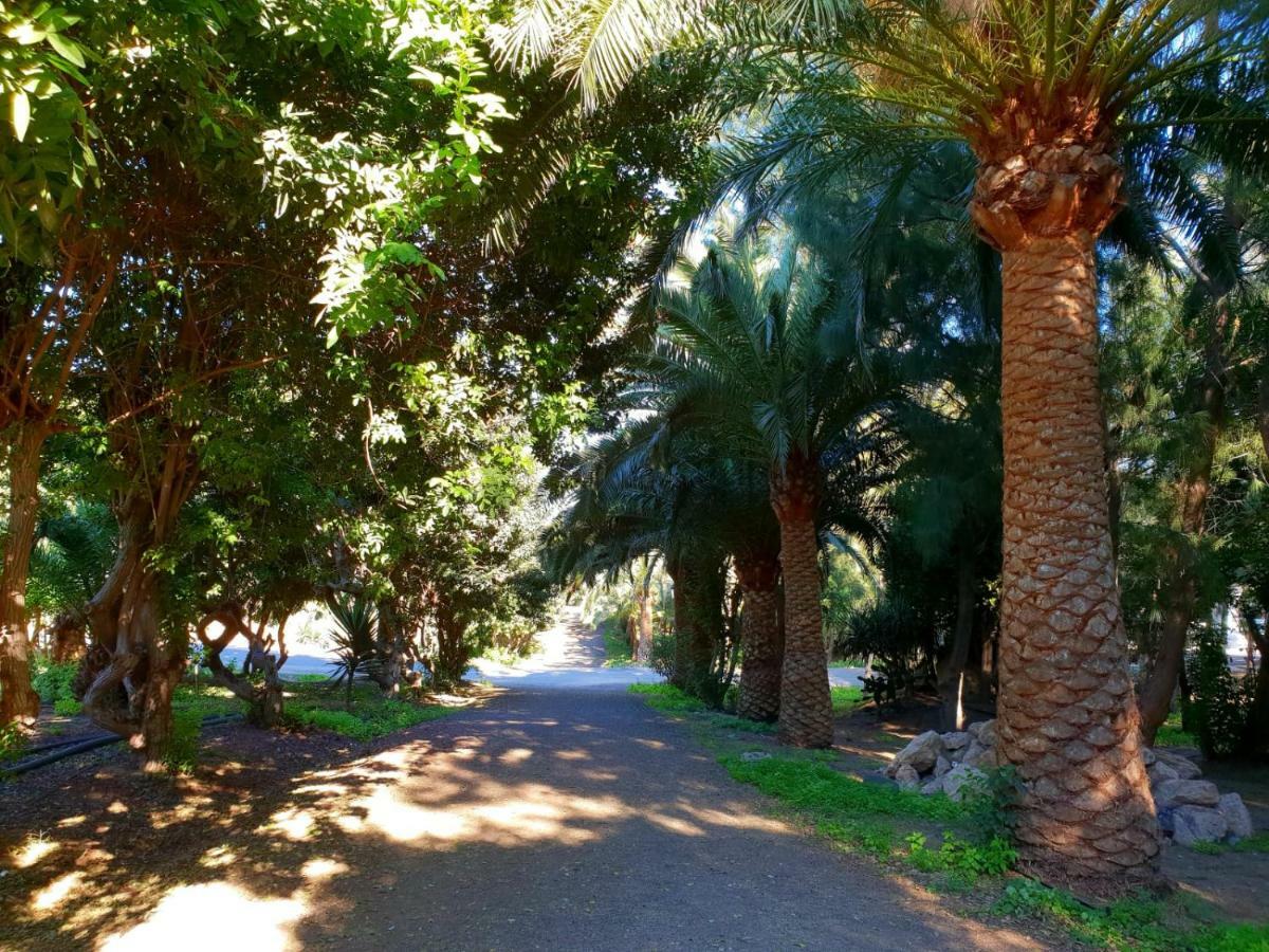 Casa Lirio Διαμέρισμα Κόστα Κάλμα Εξωτερικό φωτογραφία